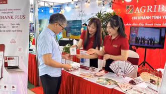 Lào Cai: Tổng dư nợ cho vay đạt 129.179 tỷ đồng