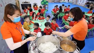 Sau vụ "tuồn" 300 tấn lợn bệnh: Yêu cầu công khai các đơn vị cung cấp suất ăn