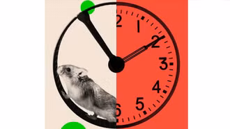 Tuần làm việc 72 giờ trong cuộc đua AI