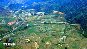 Lễ hội mùa Thu "Sa Pa - mùa vàng" 2024 hứa hẹn hàng loạt sự kiện hấp dẫn