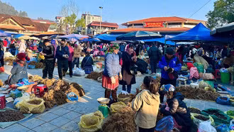 Rộn ràng chợ Bắc Hà ngày xuân