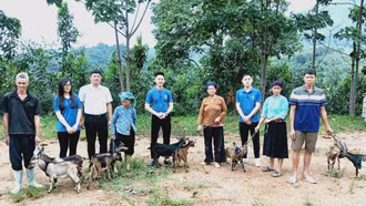 Trao tặng dê giống hỗ trợ hộ nghèo tại xã Xuân Hòa