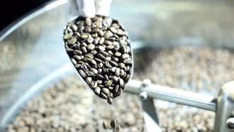 Hàng nghìn sản phẩm đặc trưng của Việt Nam được giới thiệu tại CAMEX