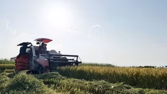 Đòn bẩy đưa nông nghiệp Việt Nam tiến đến hiện đại và xanh hóa