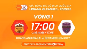 Lịch thi đấu và trực tiếp bóng đá Việt Nam hôm nay 17/8