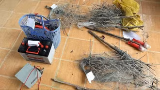 Dùng điện để bẫy chuột khiến 1 người tử vong