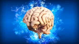 Tham vọng 'chỉnh sửa' não người để điều trị bệnh thần kinh