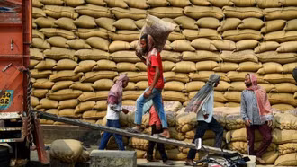 Giá gạo Ấn Độ vẫn ở mức thấp trong khi giá gạo Việt Nam tăng 395 USD/tấn