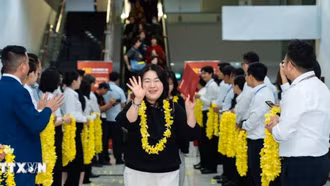 Du lịch Việt Nam mở màn năm 2026 với nhiều tín hiệu tích cực