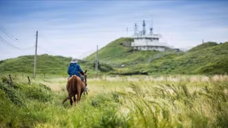 Những điểm đến gắn liền với hình tượng ngựa không thể bỏ qua tại Hàn Quốc