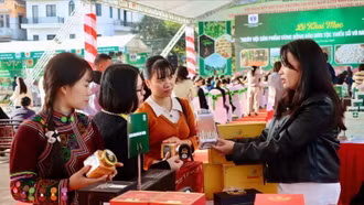 Kết nối giao thương, quảng bá nông sản của đồng bào dân tộc thiểu số phía Bắc