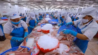 Thúc đẩy xuất khẩu nông lâm thủy sản Việt Nam sang thị trường EU