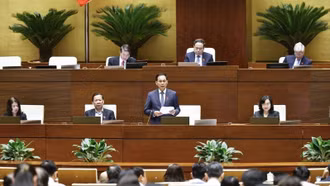 Ngày 14/11, Quốc hội nghe Chủ tịch nước trình bày Tờ trình đề nghị phê chuẩn Hiệp định đối ngoại