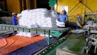Ngành mía đường trước sức ép lớn từ đường lỏng nhập khẩu