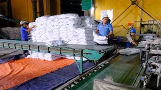 Ngành mía đường trước sức ép lớn từ đường lỏng nhập khẩu