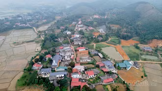 Xuân về trên thôn nông thôn mới kiểu mẫu Tân Long