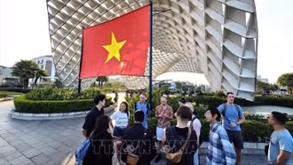 Người Hong Kong ưa chuộng đến Việt Nam trong dịp Tết Nguyên đán