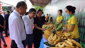 Đẩy mạnh xuất khẩu nông sản sang Nhật Bản