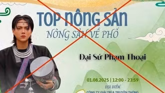 Cung cấp, chia sẻ thông tin giả mạo, TikToker Phạm Thoại bị xử phạt