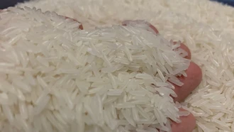 Giá gạo giảm sâu, doanh nghiệp Việt Nam chi 1 tỷ USD nhập khẩu về