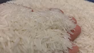 Giá gạo giảm sâu, doanh nghiệp Việt Nam chi 1 tỷ USD nhập khẩu về