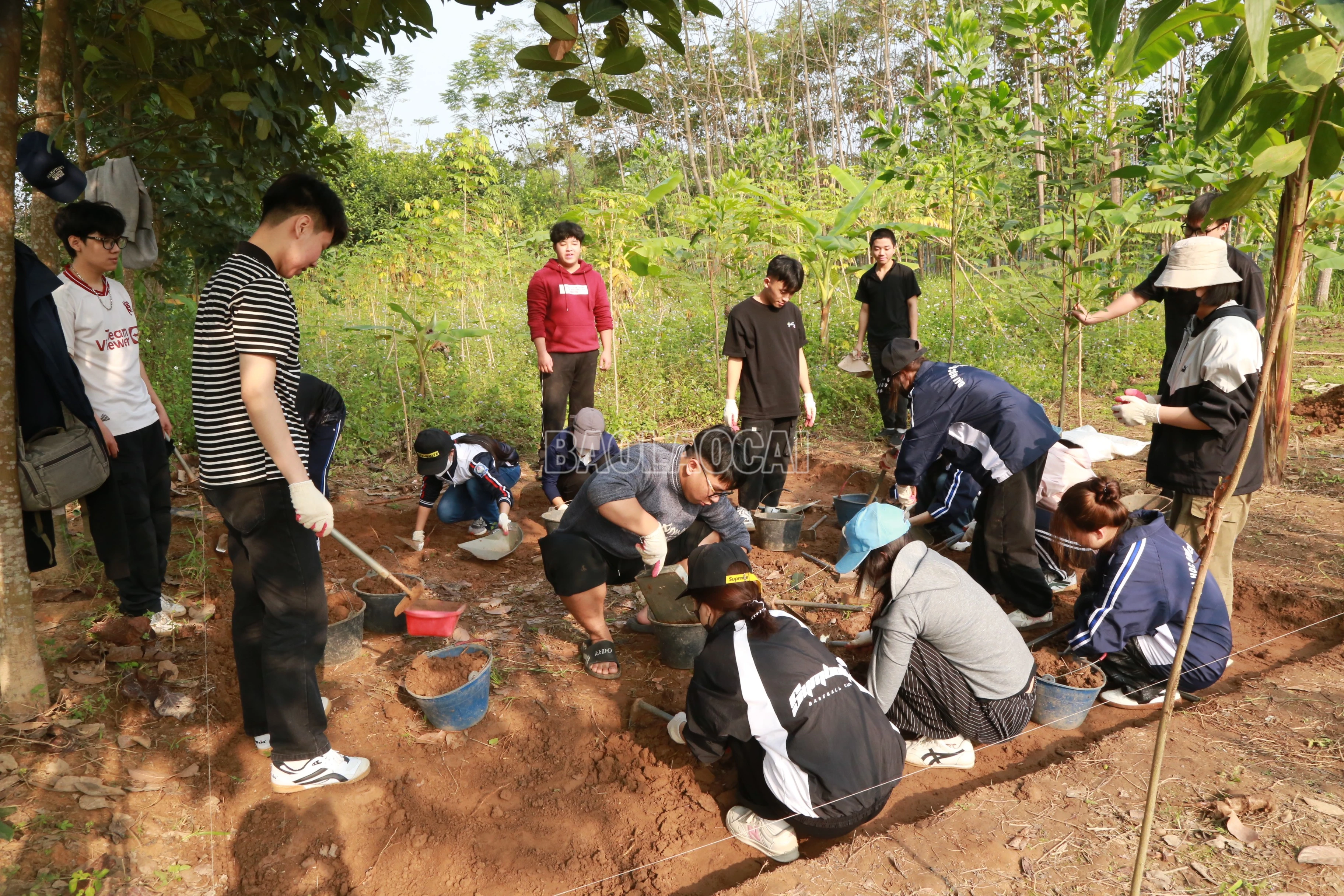 baolaocai-c_img-6784.jpg