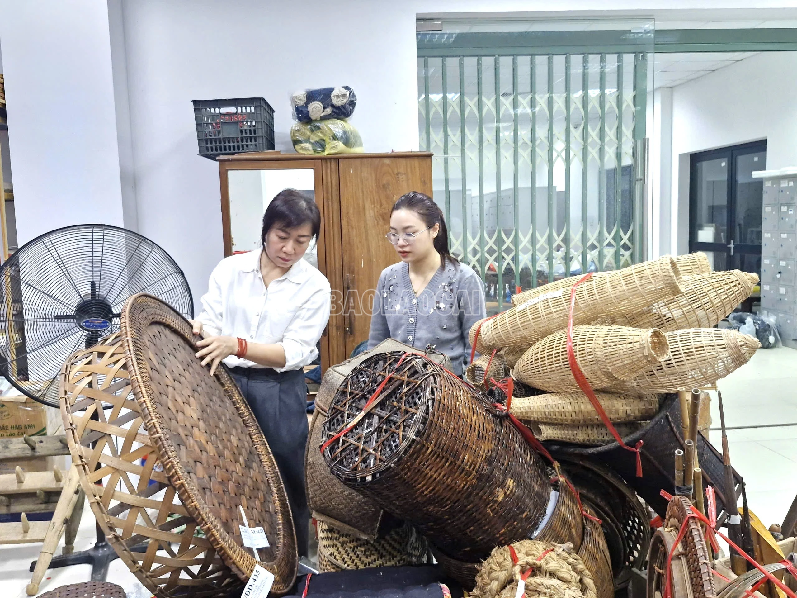 baolaocai-c_7-1696.jpg