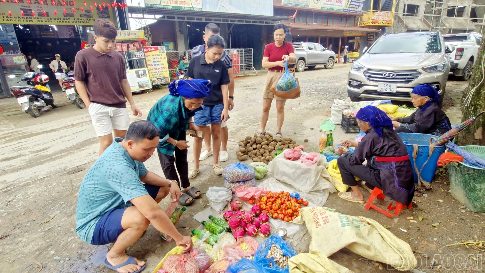 baolaocai-br_16.jpg