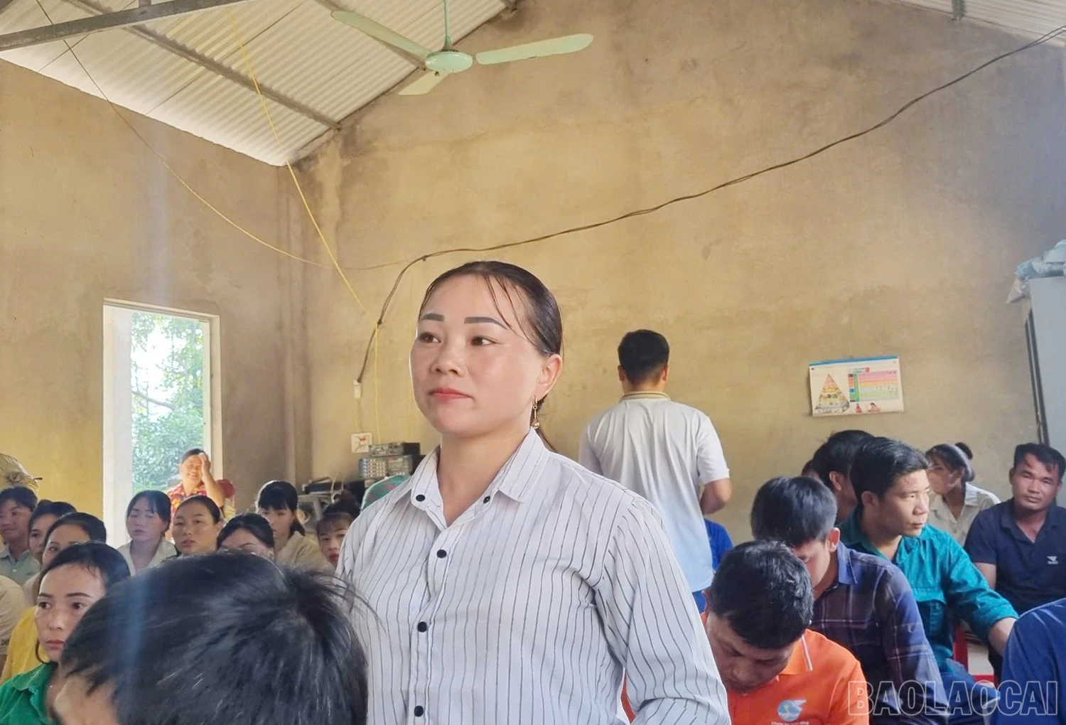 baolaocai-br_z6032959680938-9da12ec57acc94506c0b87def1db311f.jpg