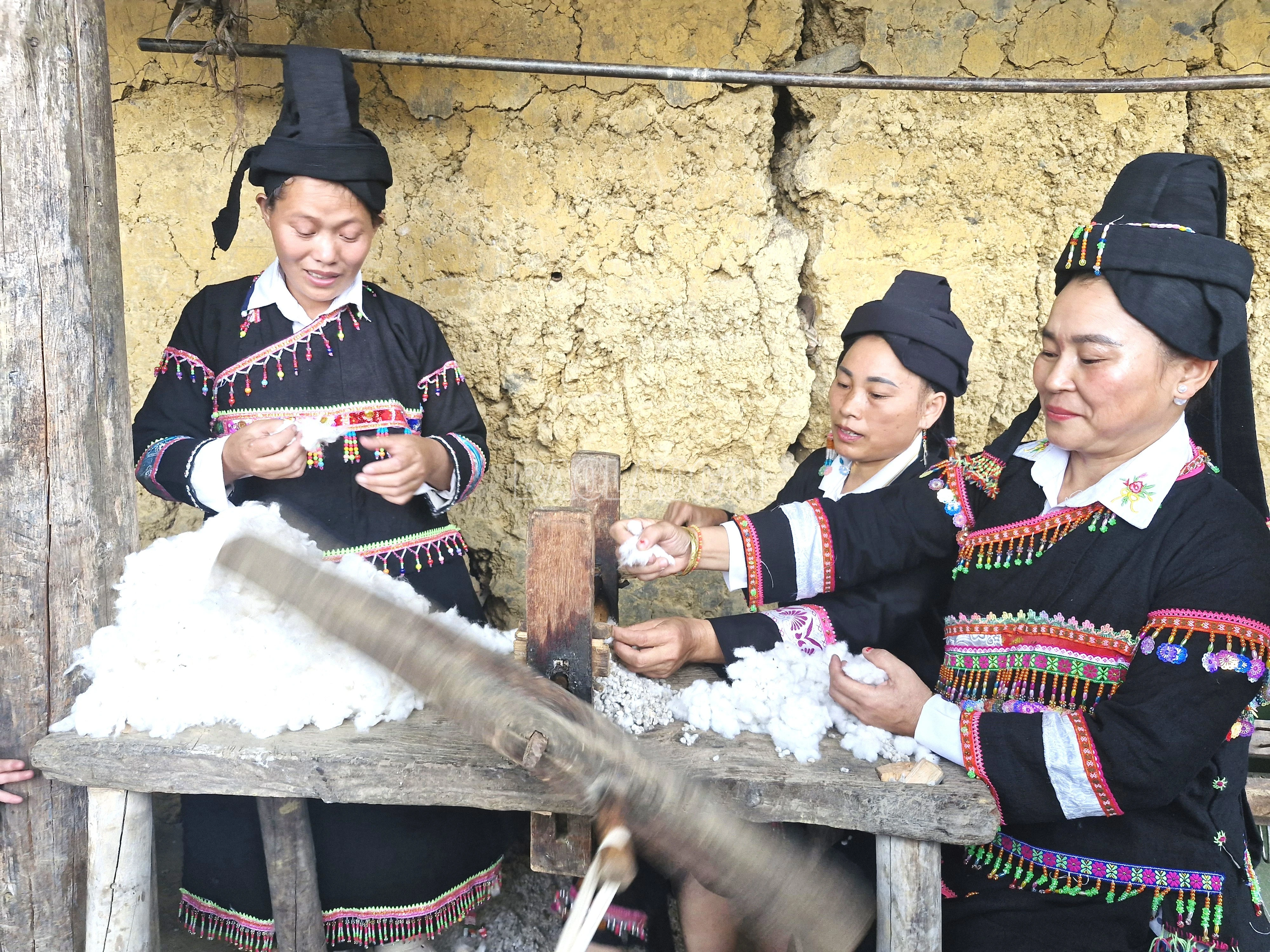 baolaocai-c_3-5827.jpg