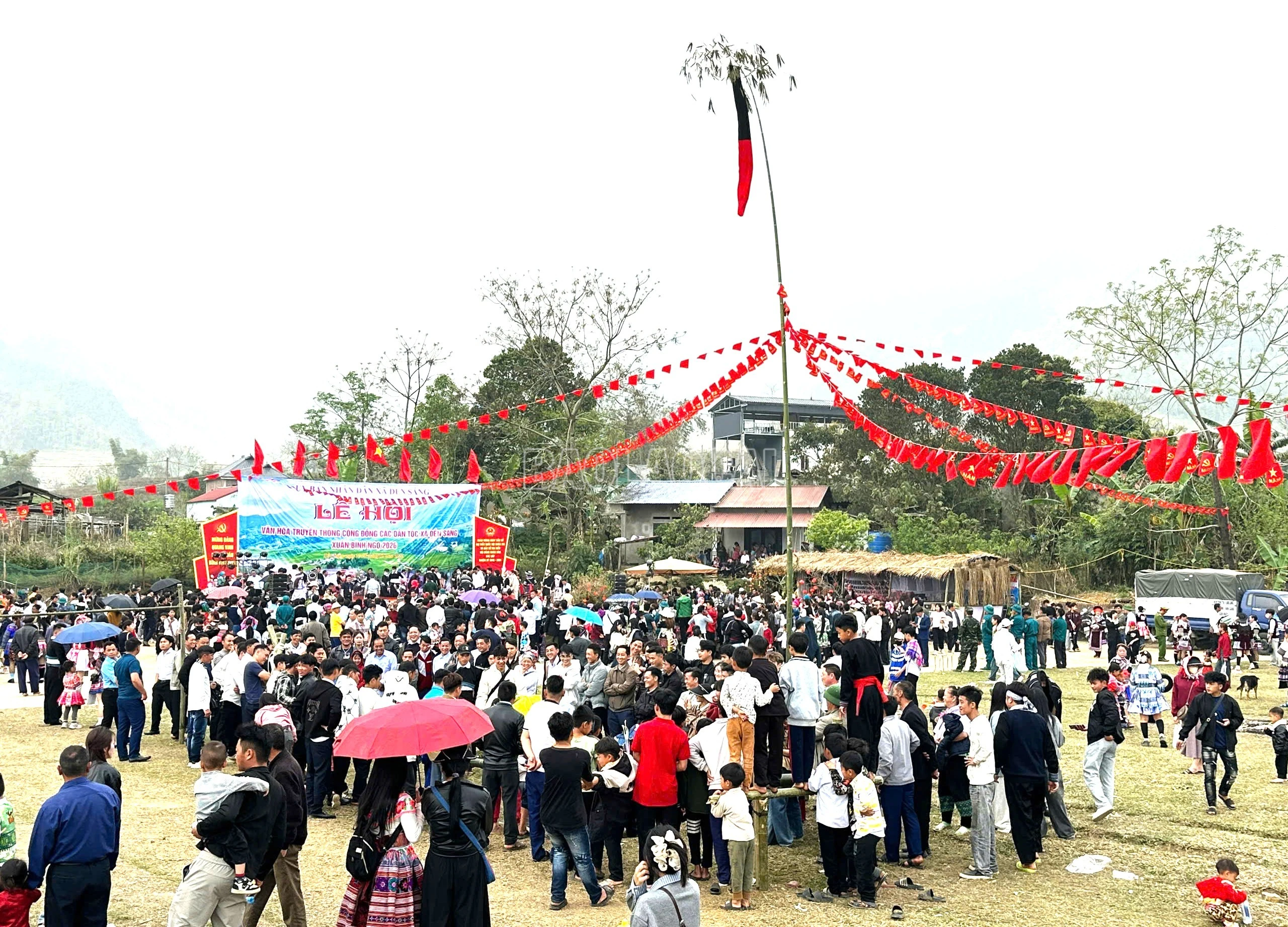 baolaocai-c_1.jpg