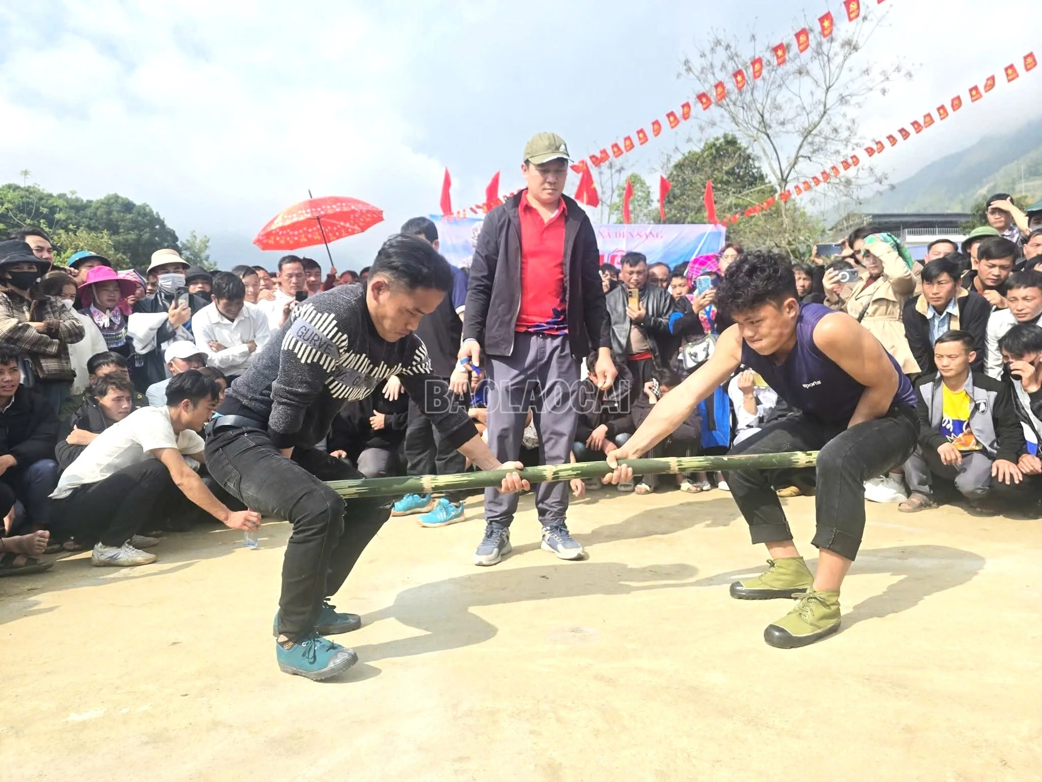 baolaocai-c_3.jpg