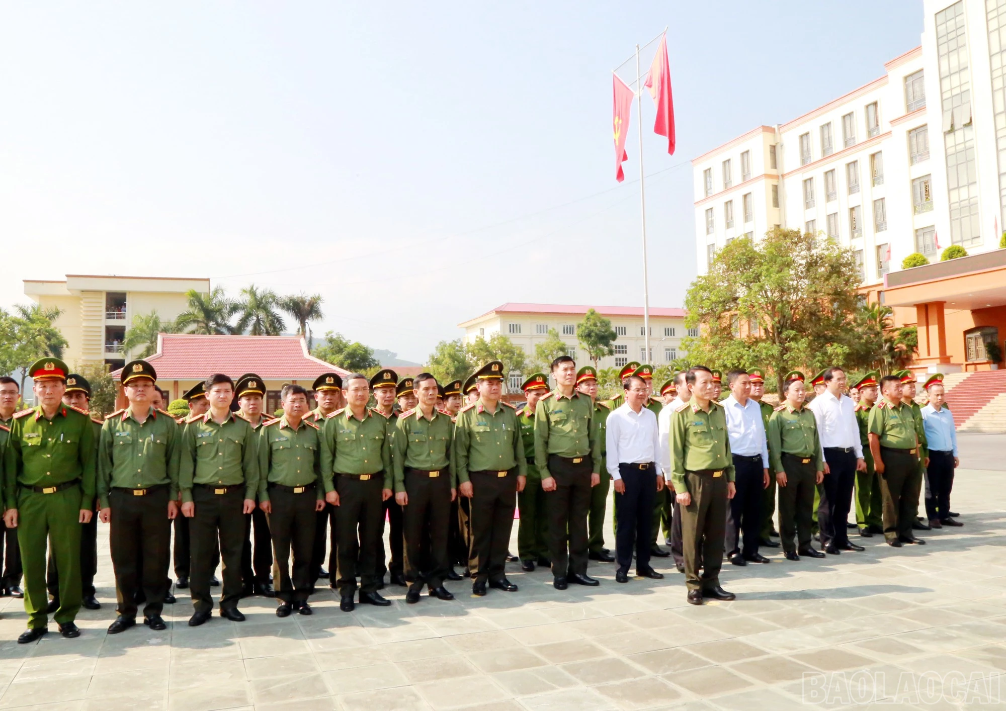 baolaocai-br_1-617.jpg