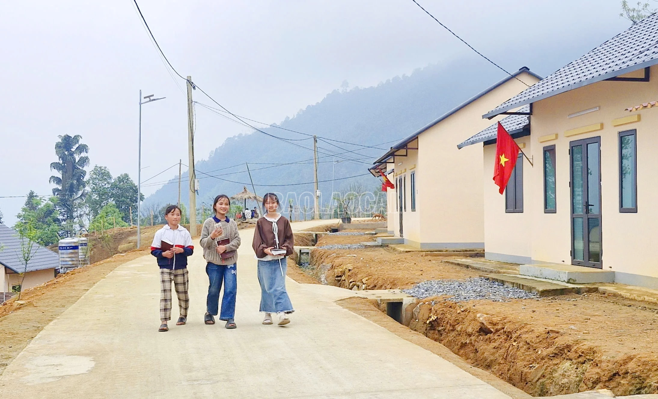 baolaocai-c_2.jpg