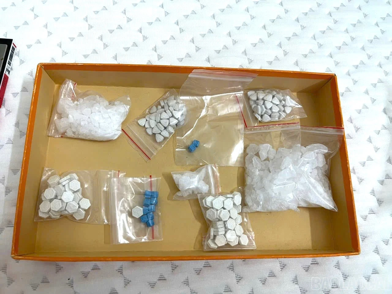 3-5436.jpg