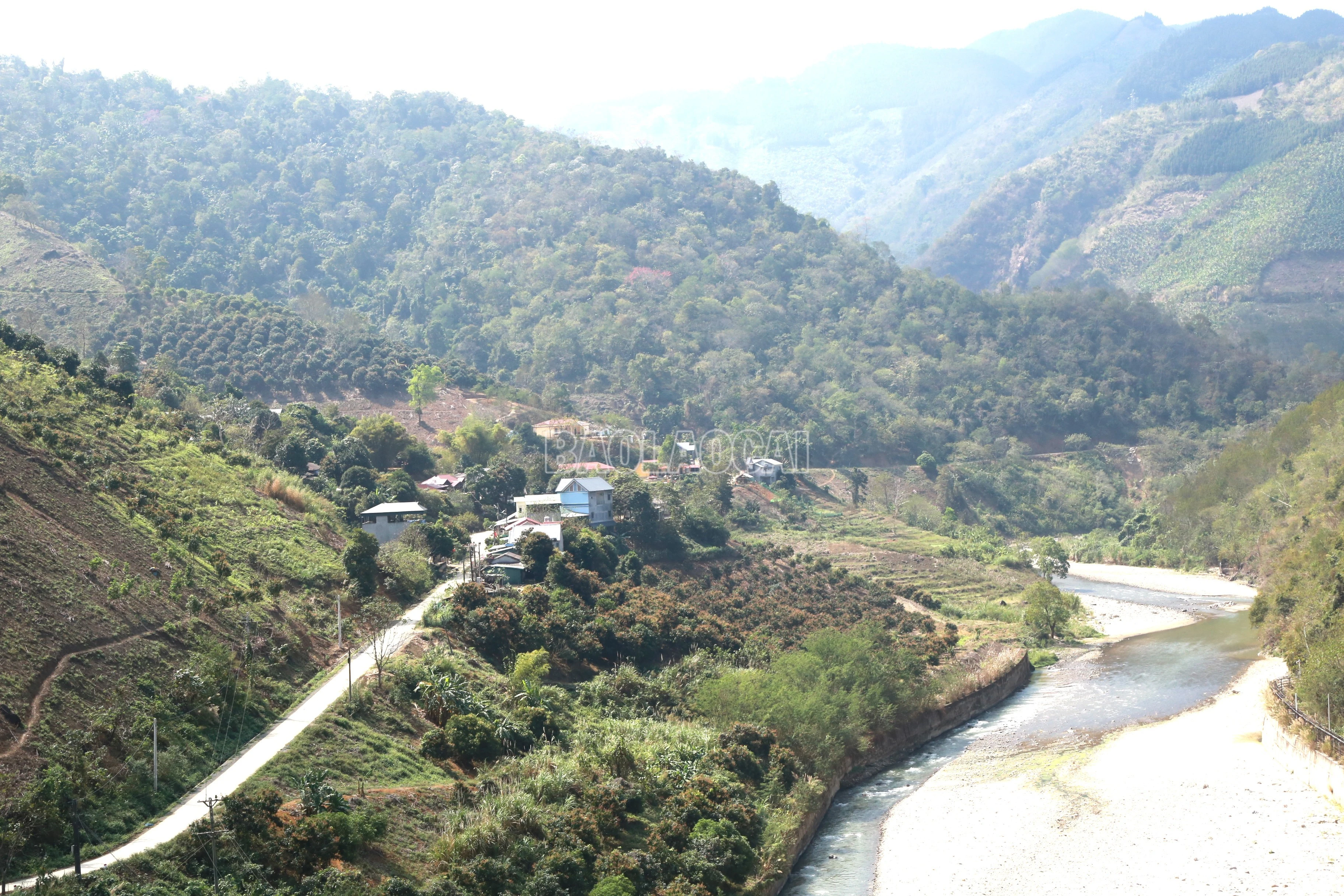 baolaocai-c_14.jpg