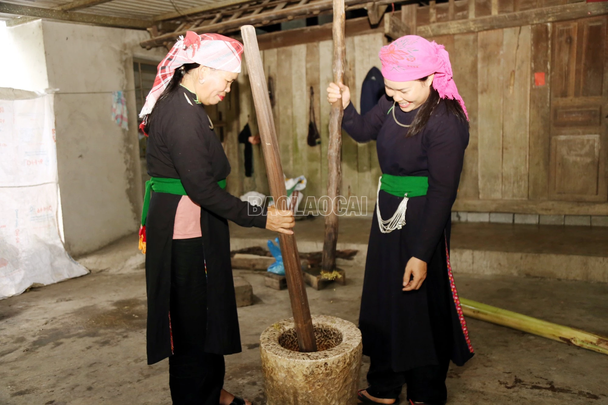 baolaocai-c_4.jpg