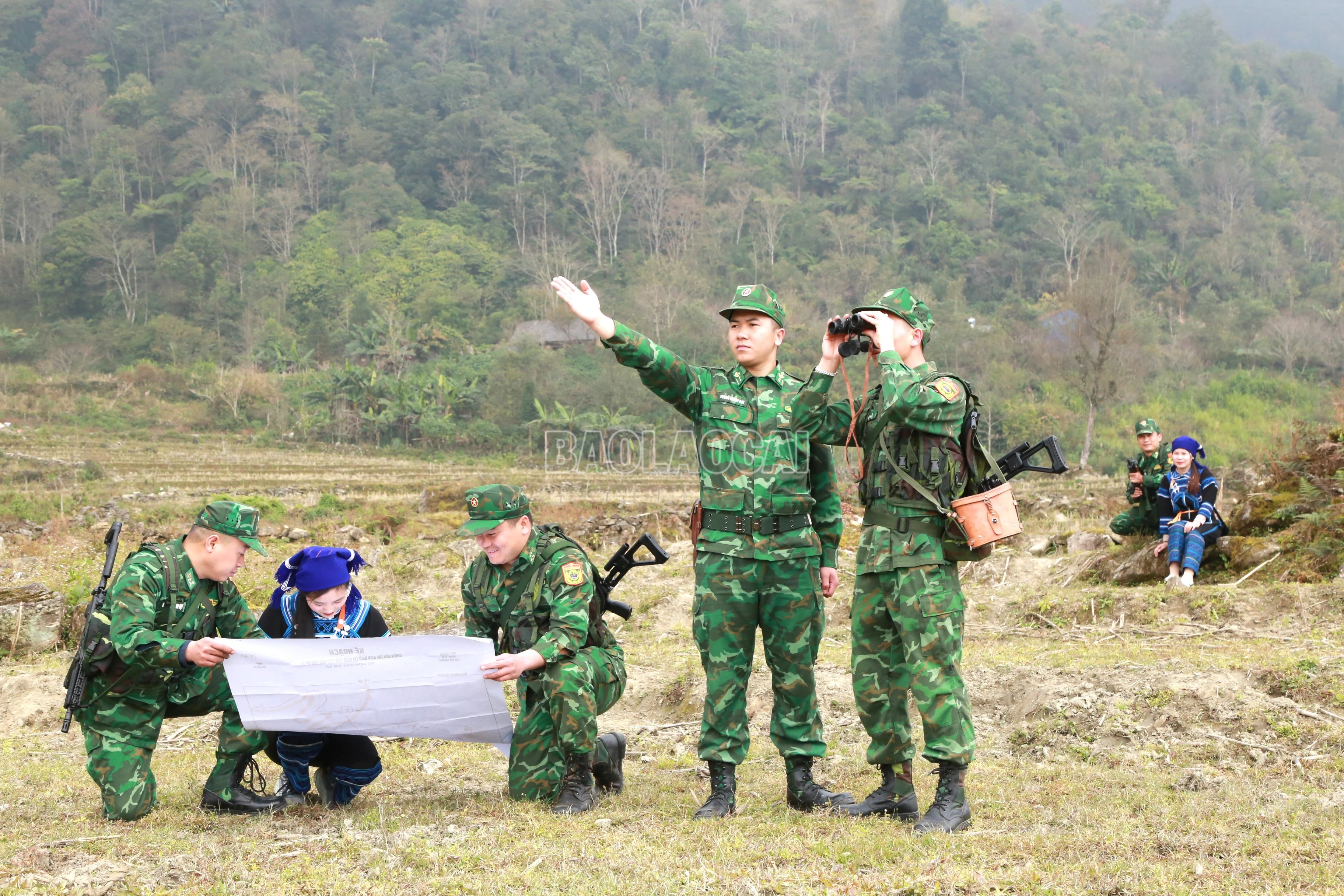 baolaocai-c_11.jpg