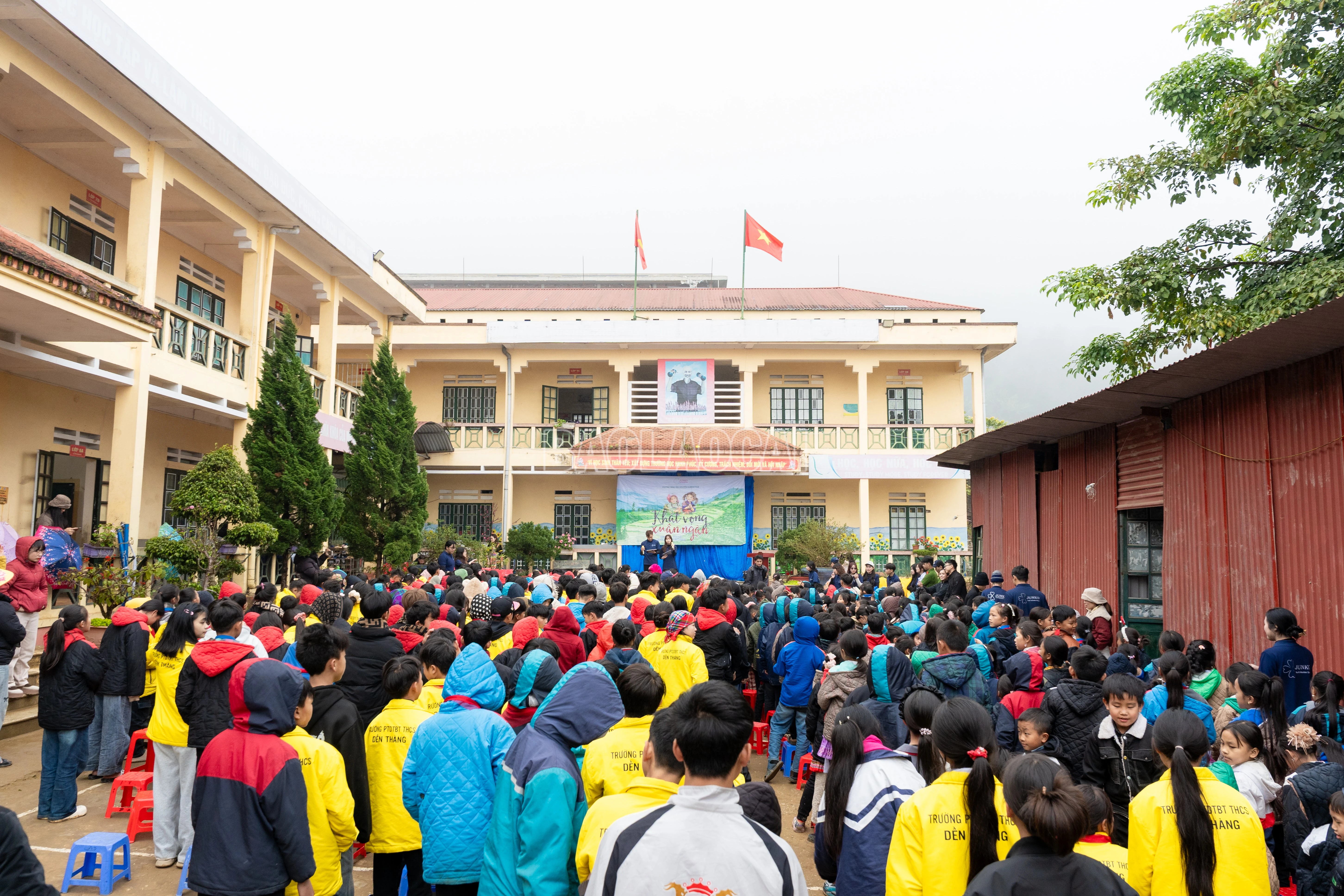 baolaocai-c_1.jpg