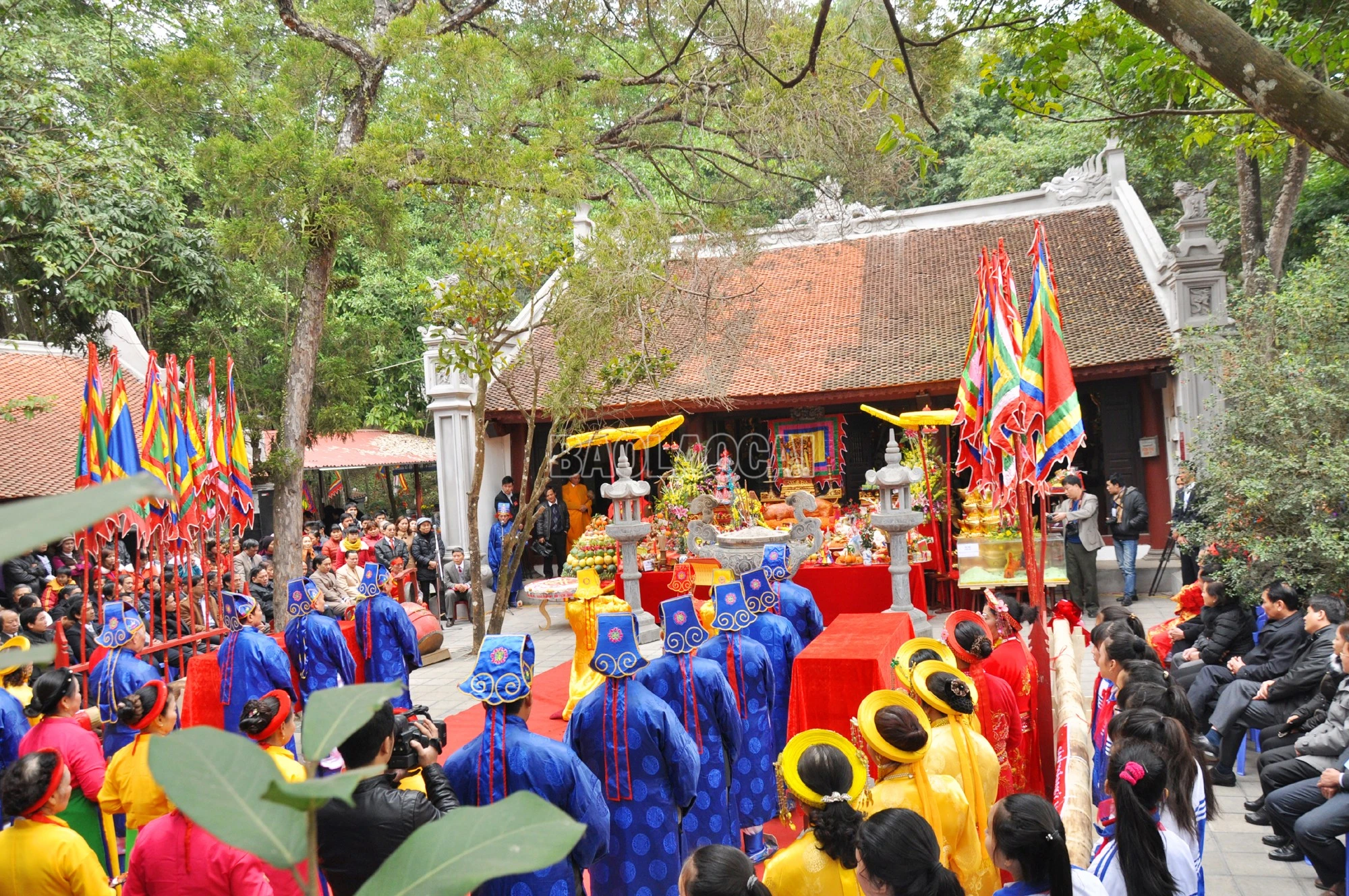 baolaocai-c_14.jpg