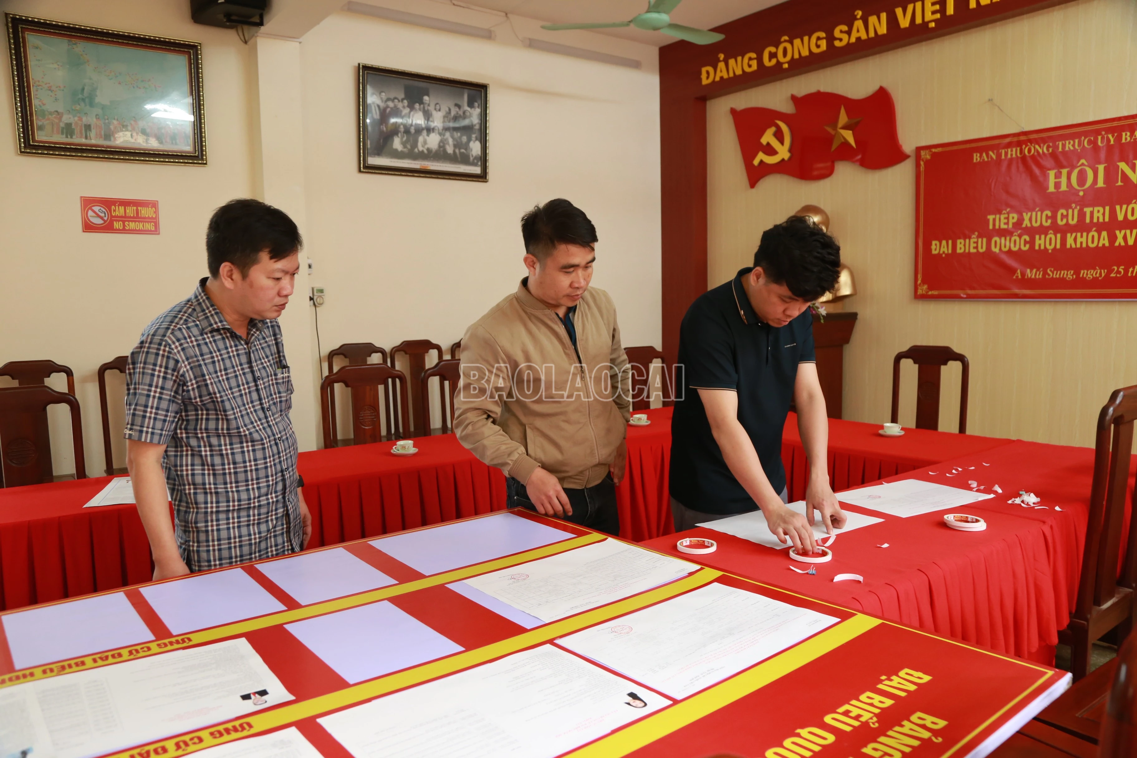 baolaocai-c_10.jpg