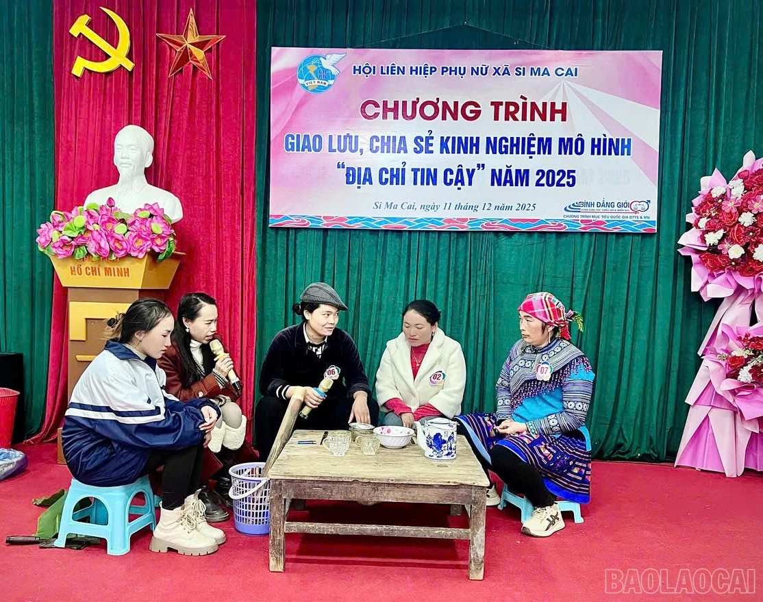baolaocai-br_1.jpg