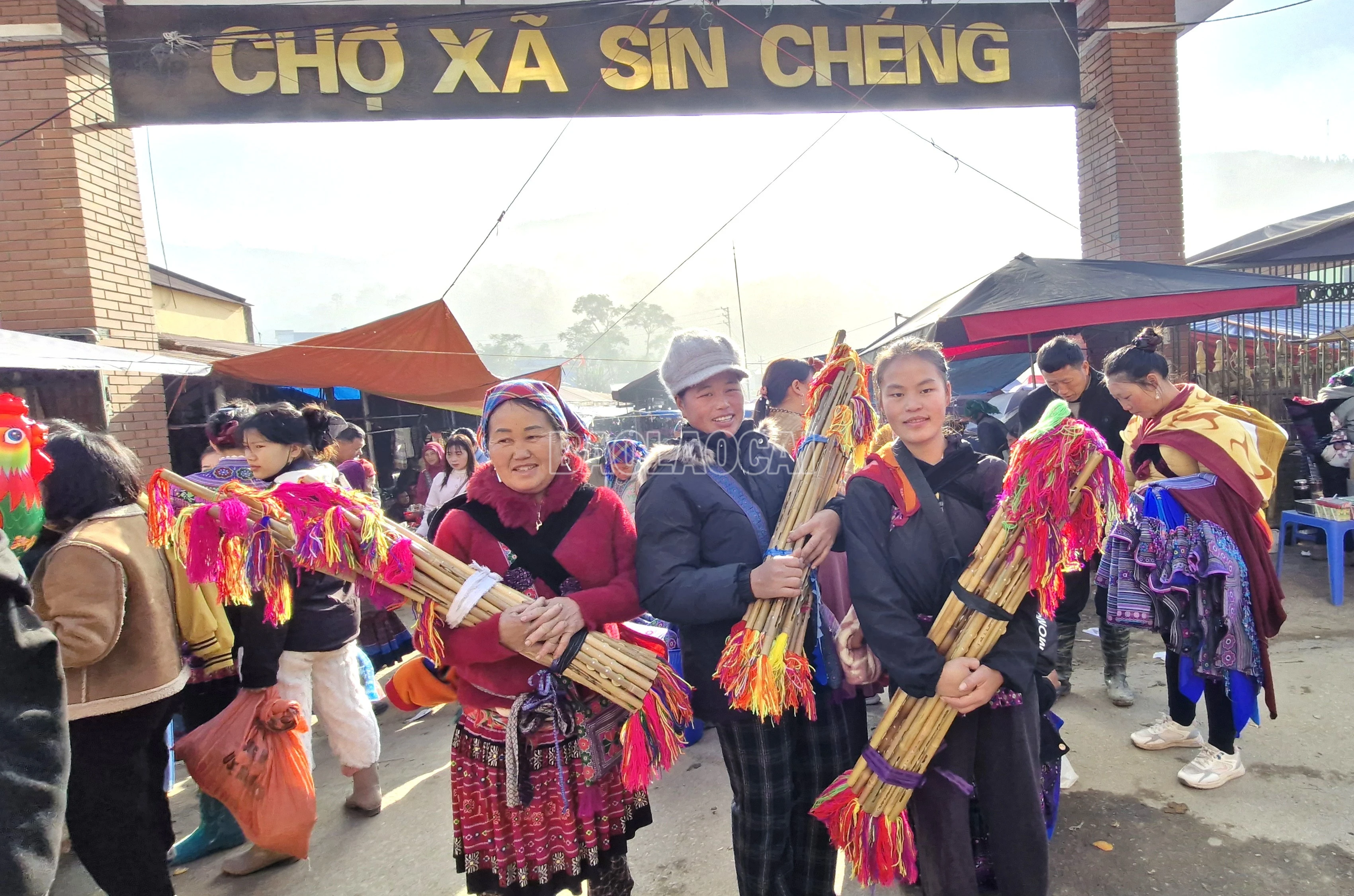 baolaocai-c_7.jpg