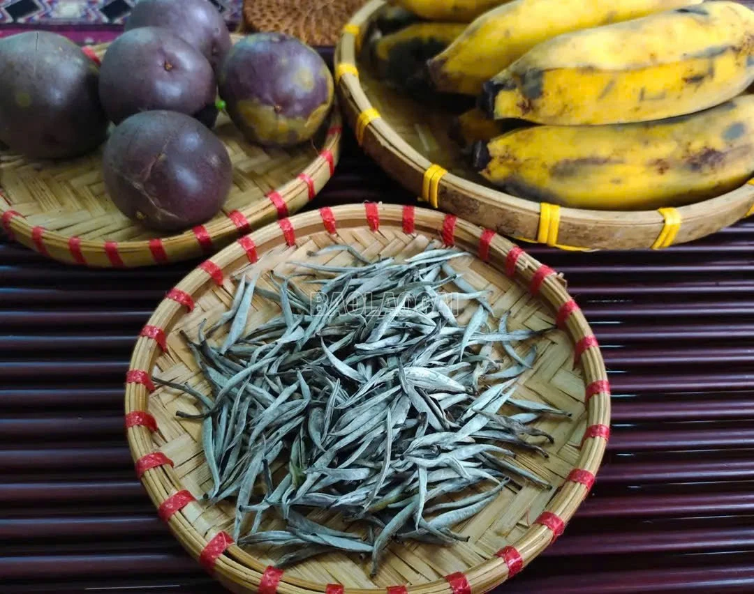 baolaocai-c_16.jpg