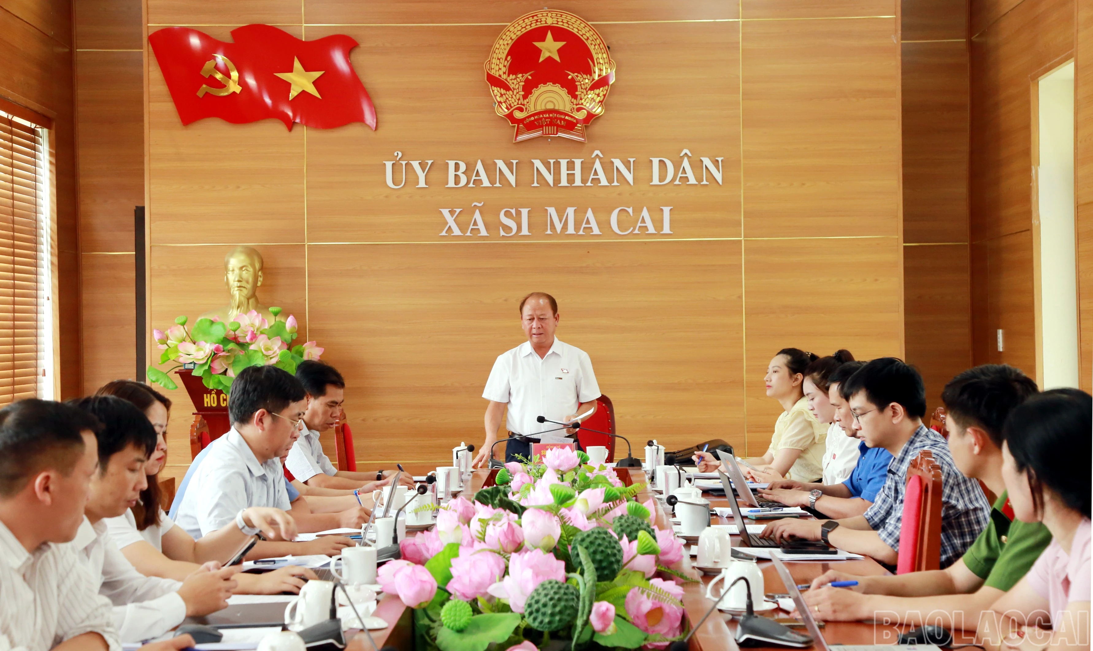 baolaocai-br_9.jpg