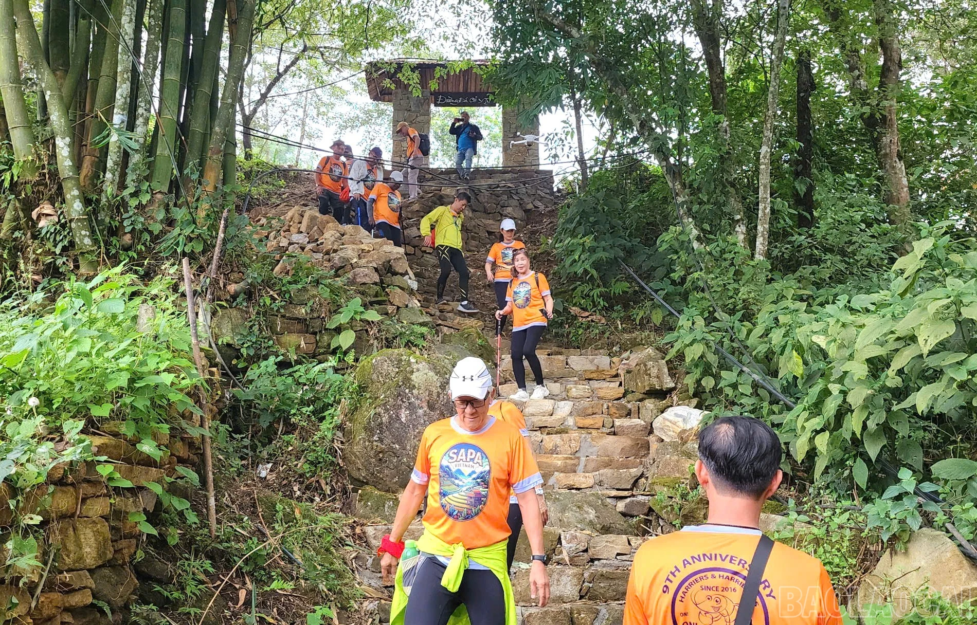 baolaocai-br_14.jpg