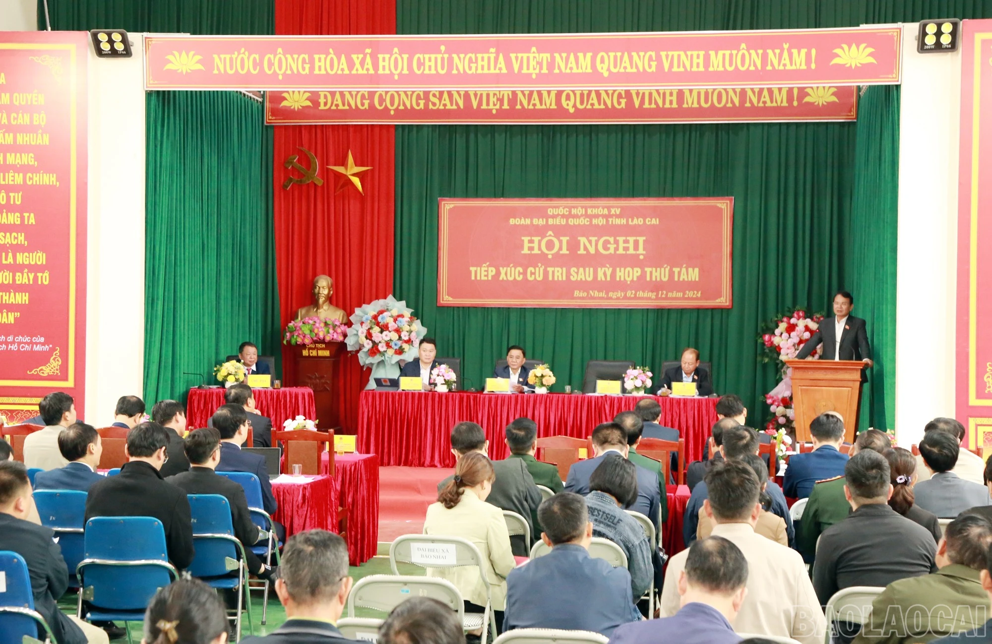 baolaocai-br_1.jpg
