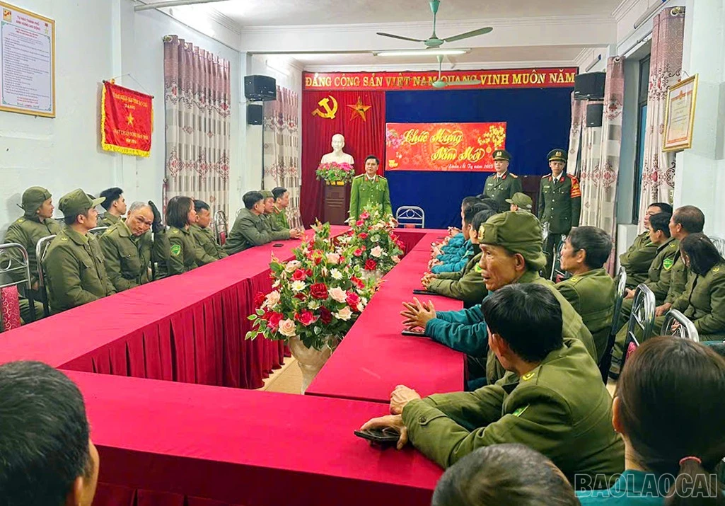 baolaocai-br_1.jpg