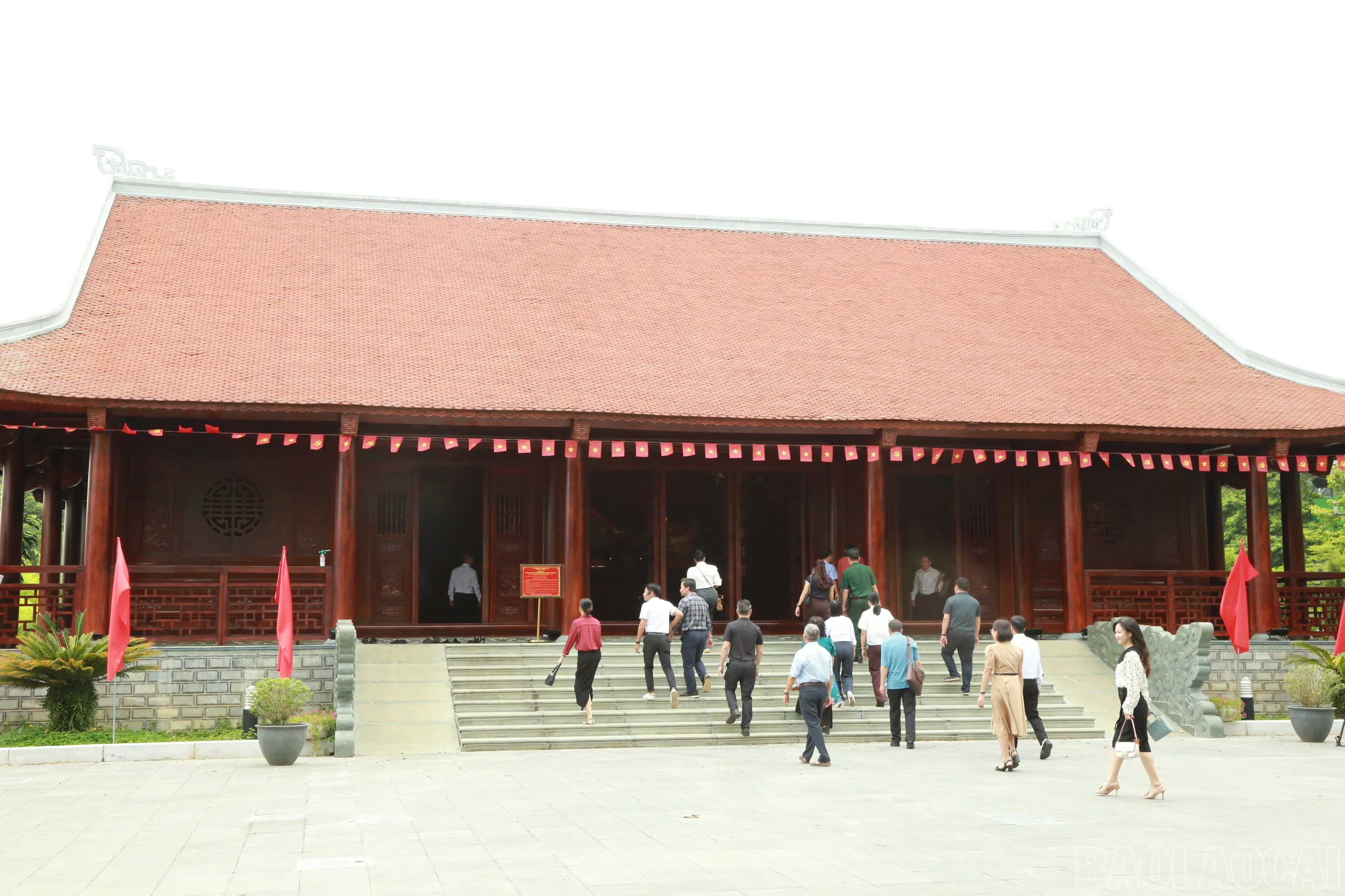baolaocai-br_6.jpg