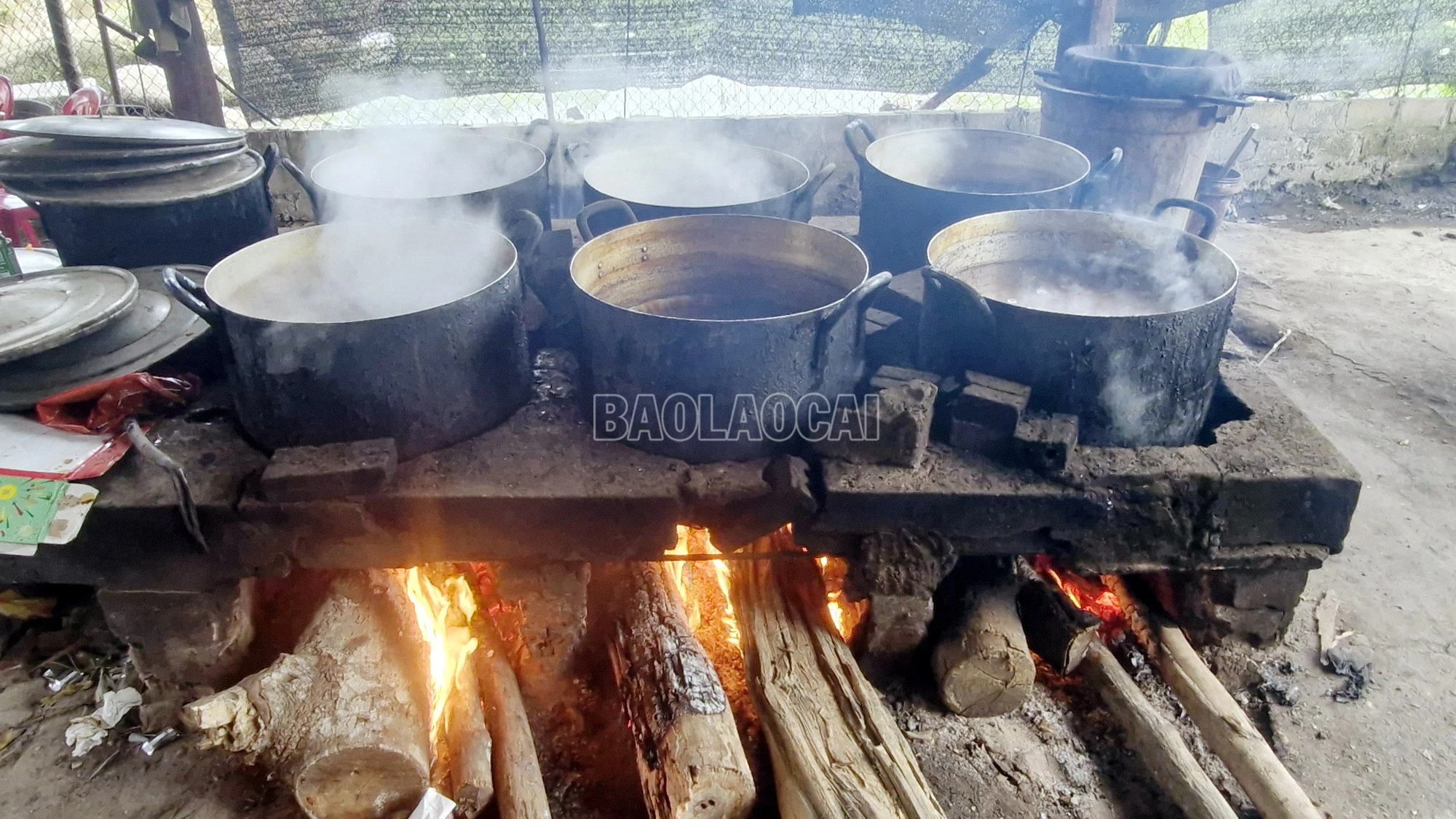 baolaocai-c_7.jpg